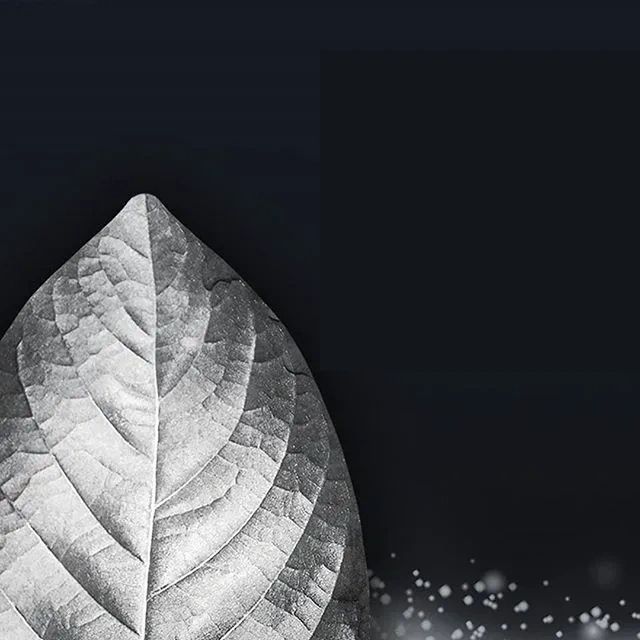 OPMS SILVER
