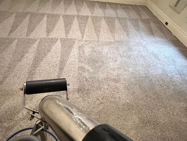 Carpet cleaning machine in use, leaving a patterned clean carpet.