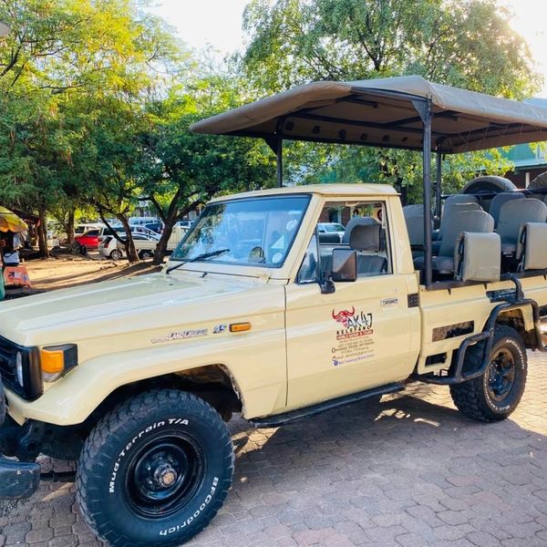 Open safari vehicle parked under trees.