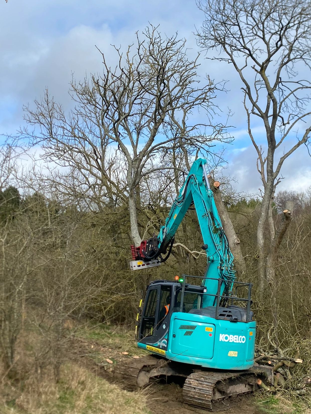 A blue Kobelco excavator cutting tree branches in a forest.