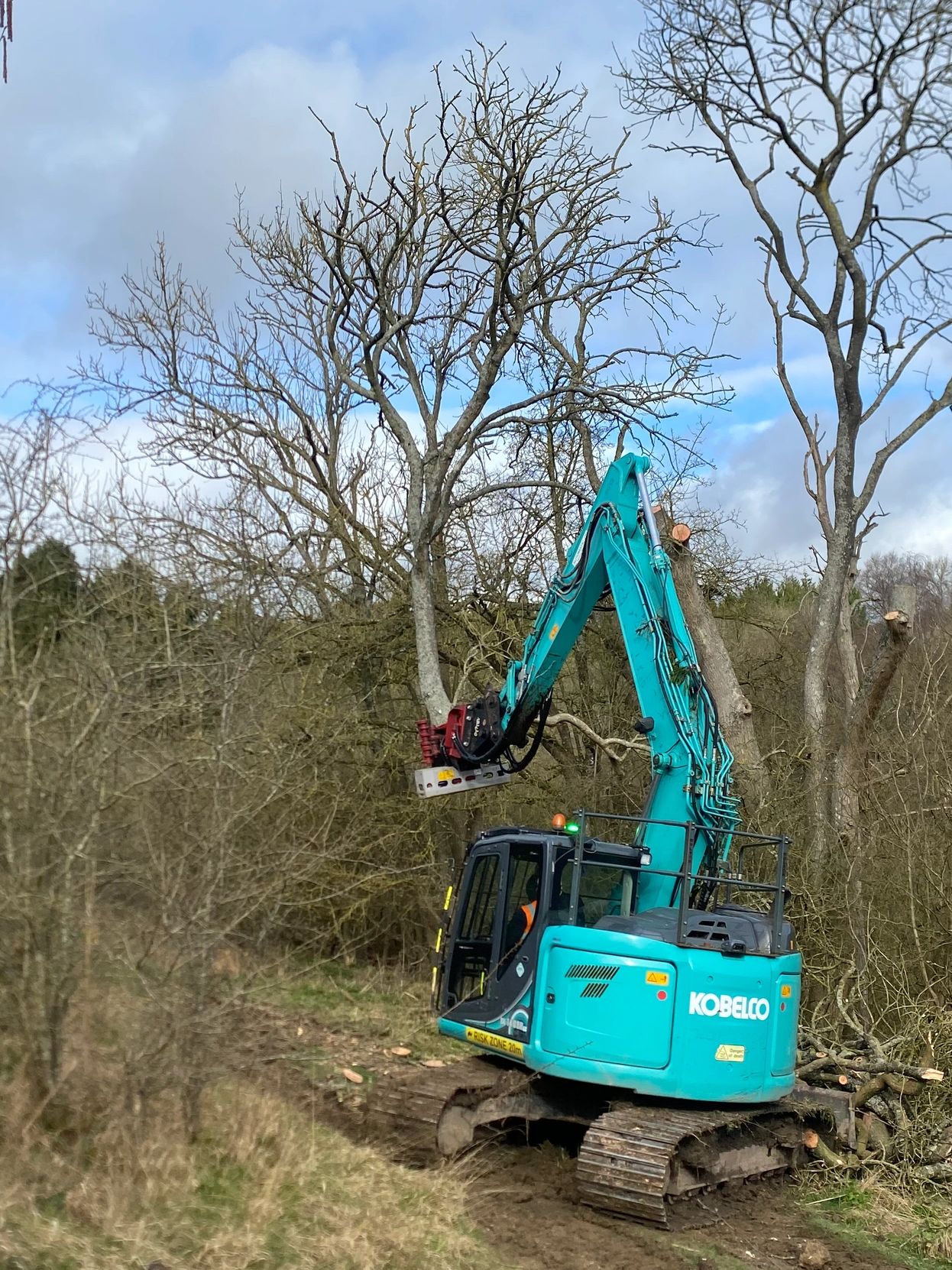 A blue Kobelco excavator cutting tree branches in a forest.