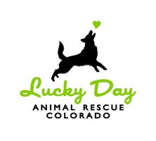 lucky day Animalrescue