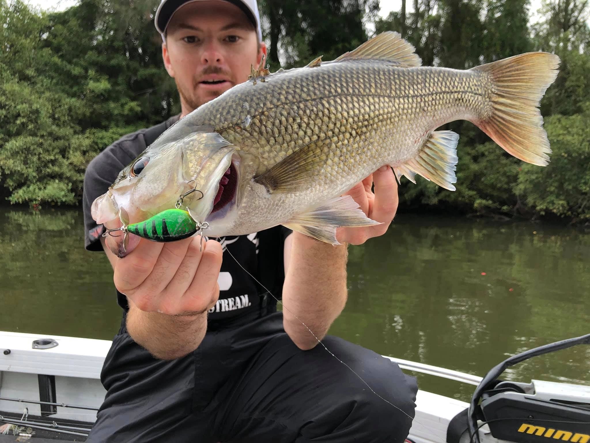 Jollip Lures Ripper Fizzer - The Bait Shop Gold Coast