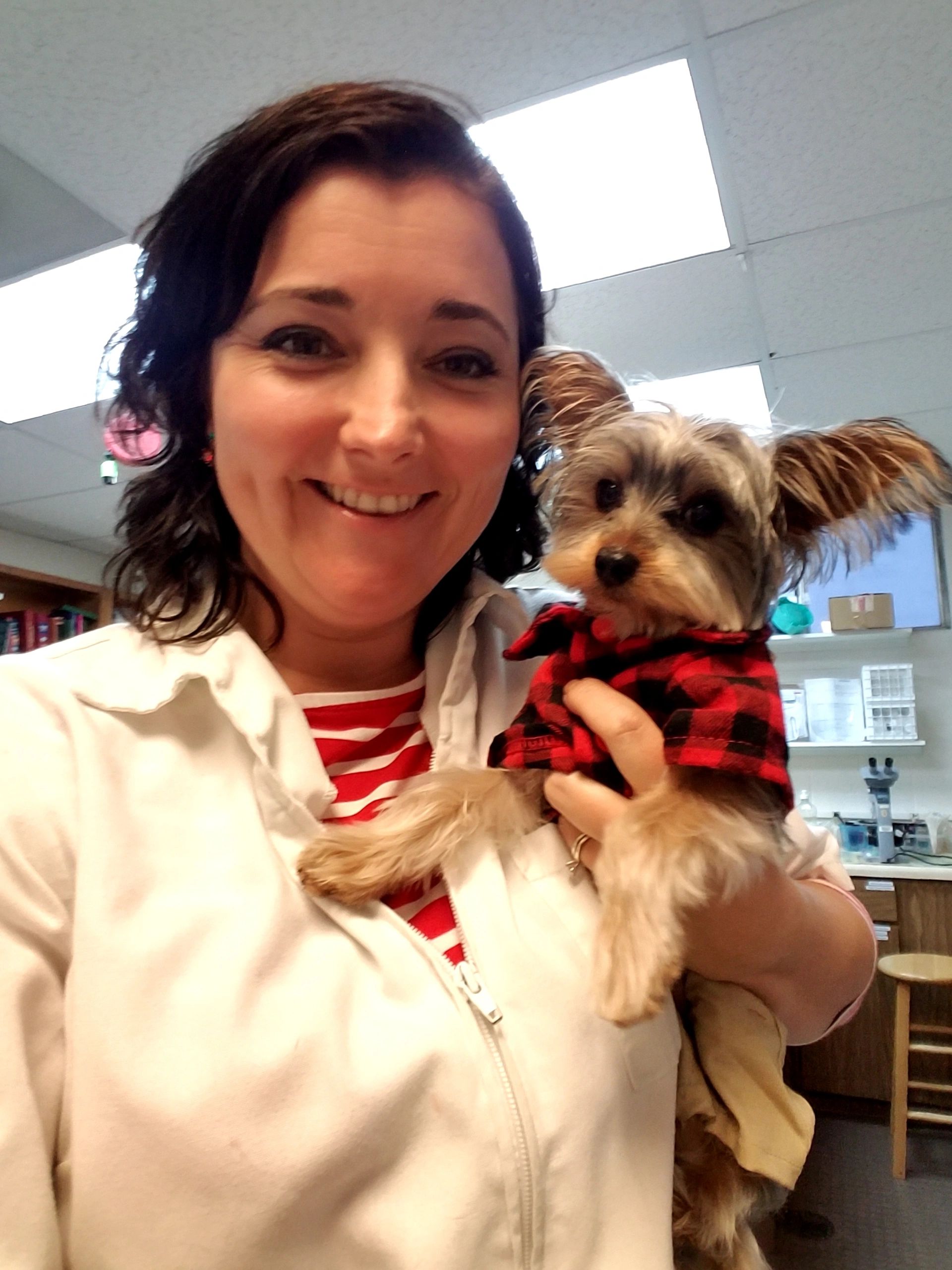 Is Cream Of Tartar Poisonous To Dogs