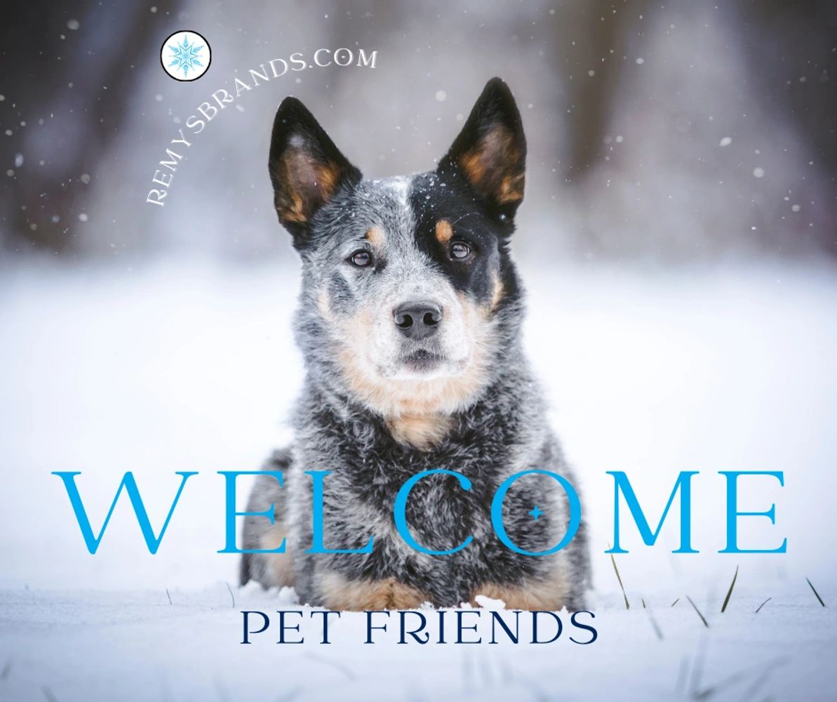Cattle dog in snow. Welcome pet friends.
Welcome RemysBrands.com