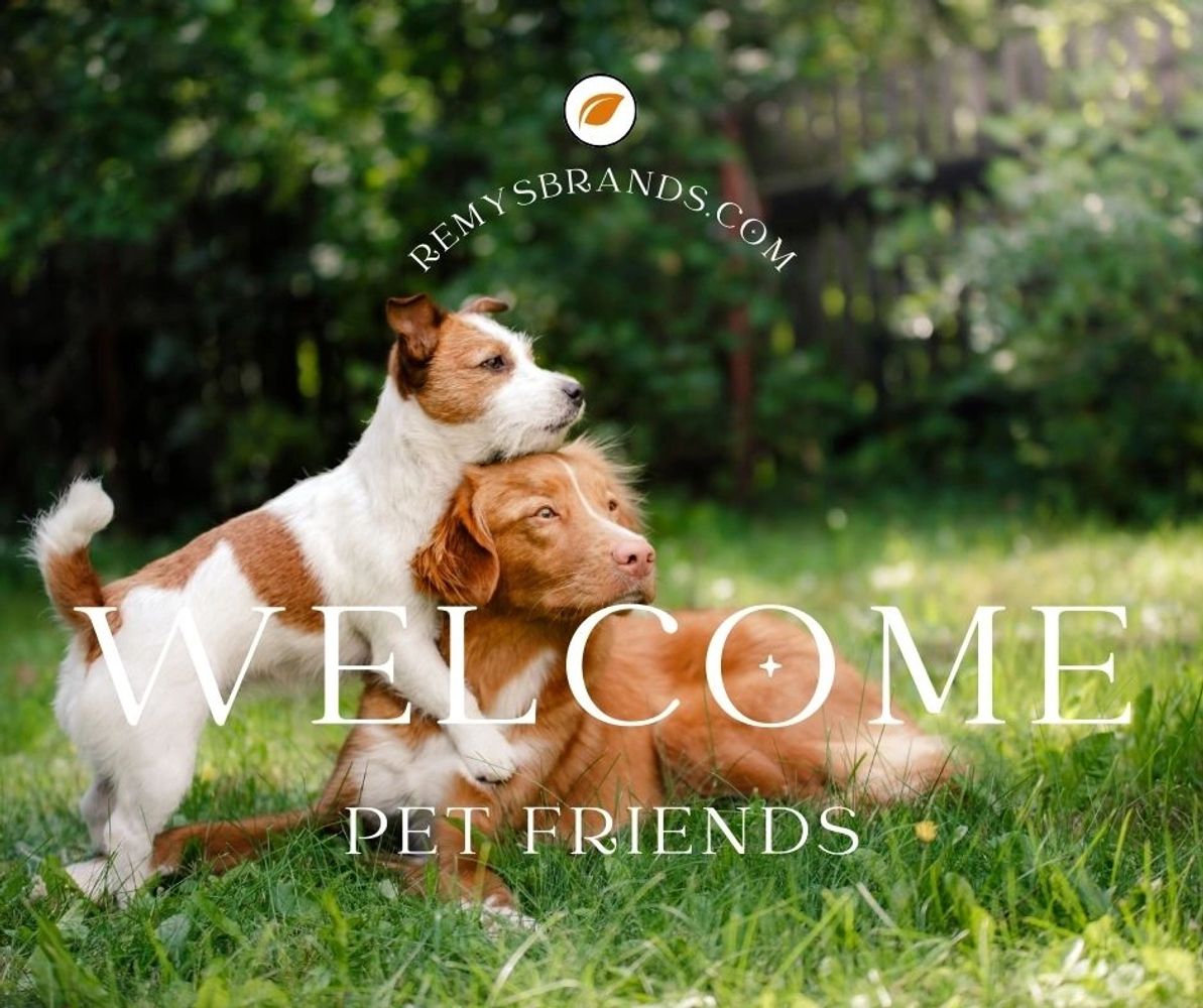 Brown and white terrier puppy on Brown and white retreiver dog in grass.
Wlelcome RemysBrands.com