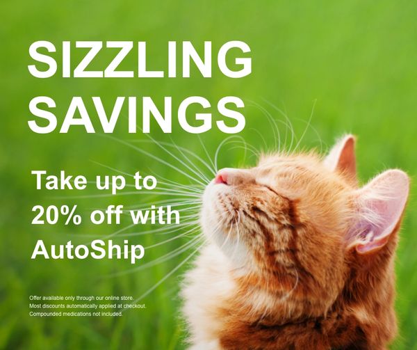 orange tabby in grass Save 20% with AutoShip in our pet supplies