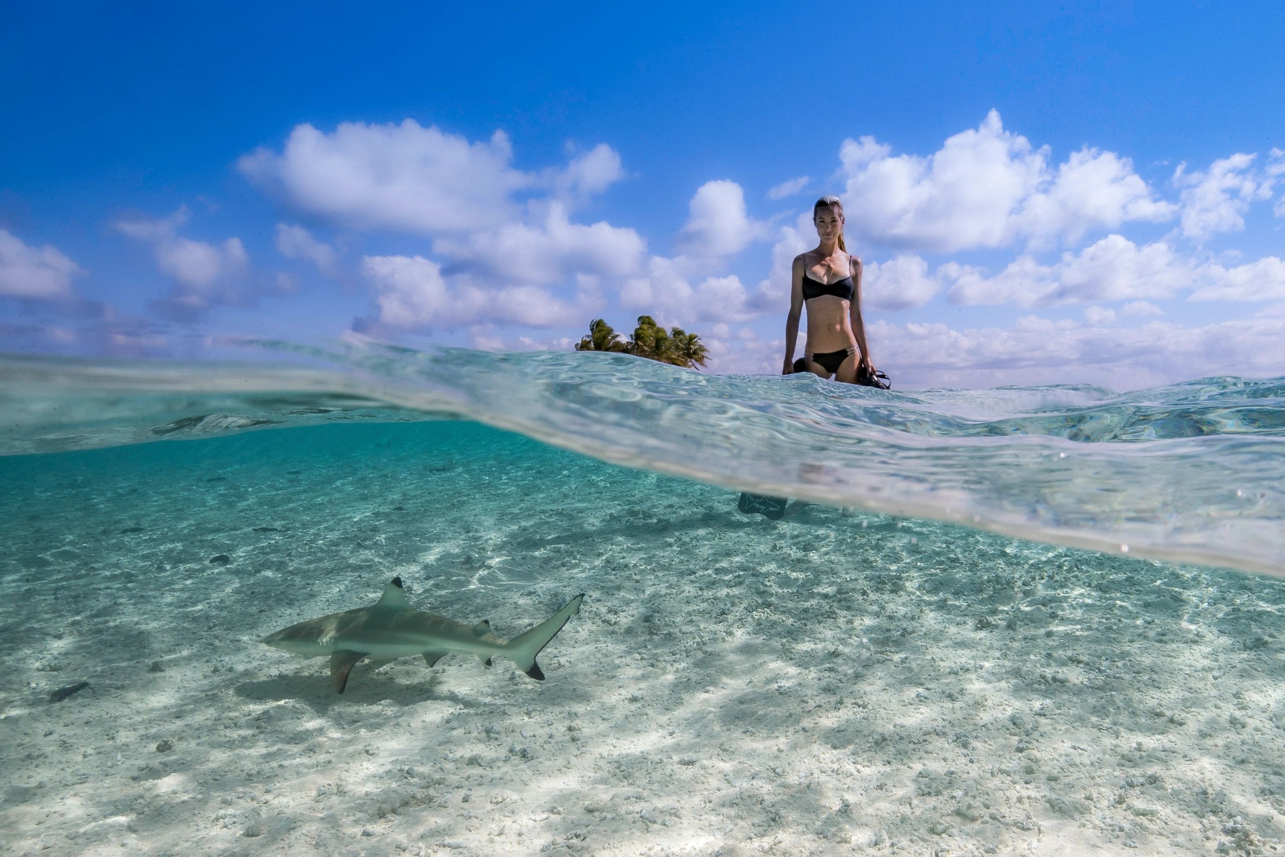 Meet The Hawaiian Spearfisher Who Swims With Great W