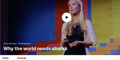 Ocean Ramsey's TedTalk 2015