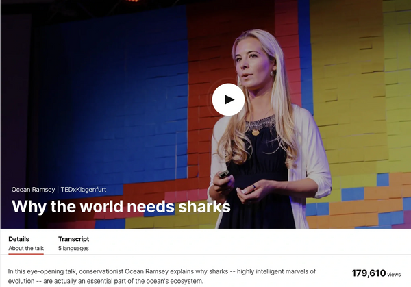 Ocean Ramsey giving her TED talk about the importance of sharks, why sharks matter, and how sharks 
