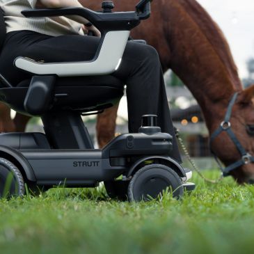 Close-up of a wheelchair with a horse grazing in the background.