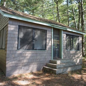 Exterior of a small shingled cabin in woods.