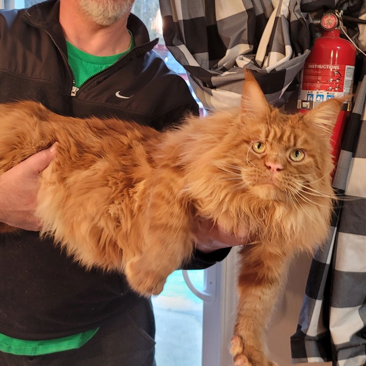 Ginger babies born Sept 9