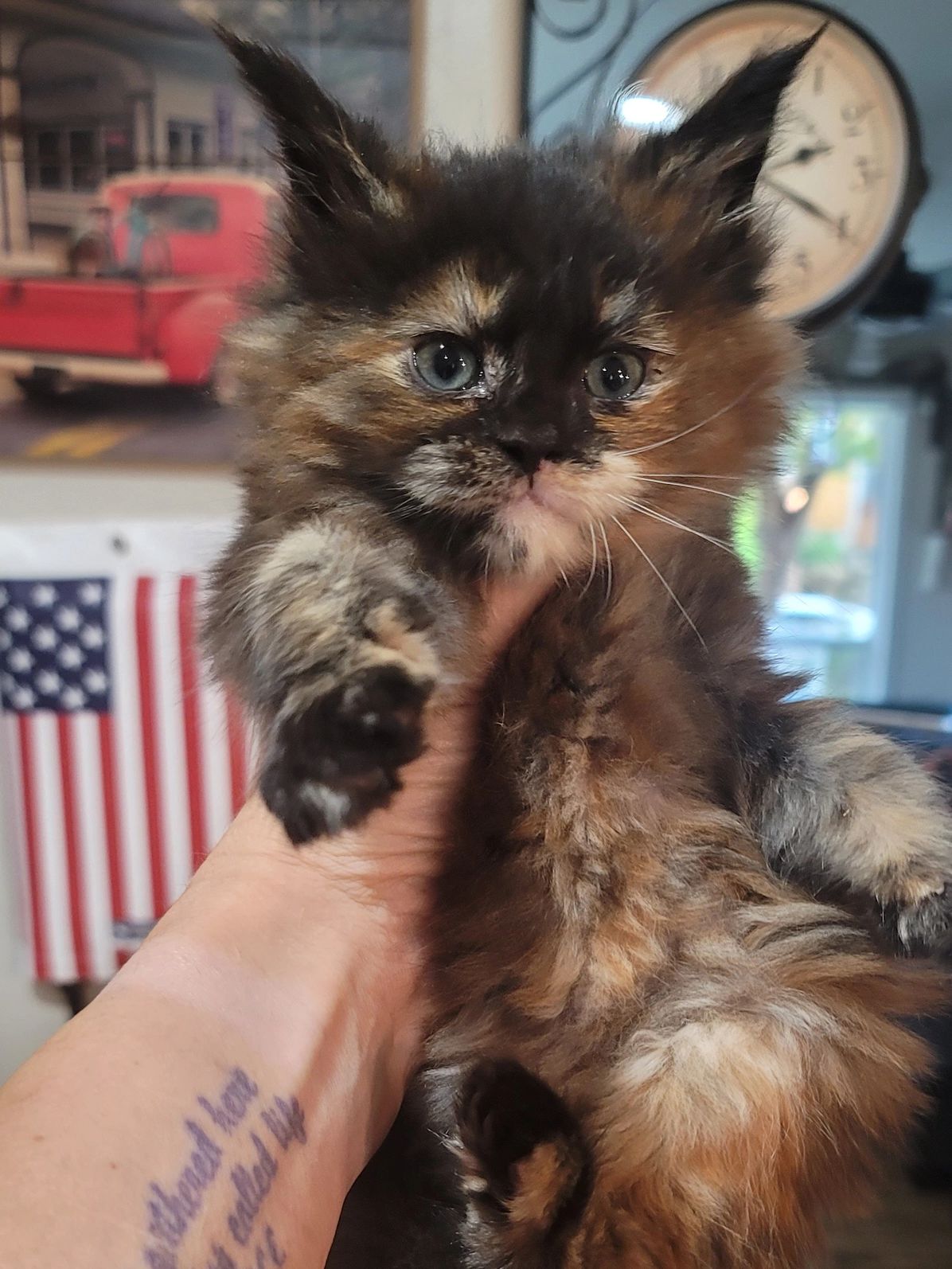 Ginger babies born Sept 9