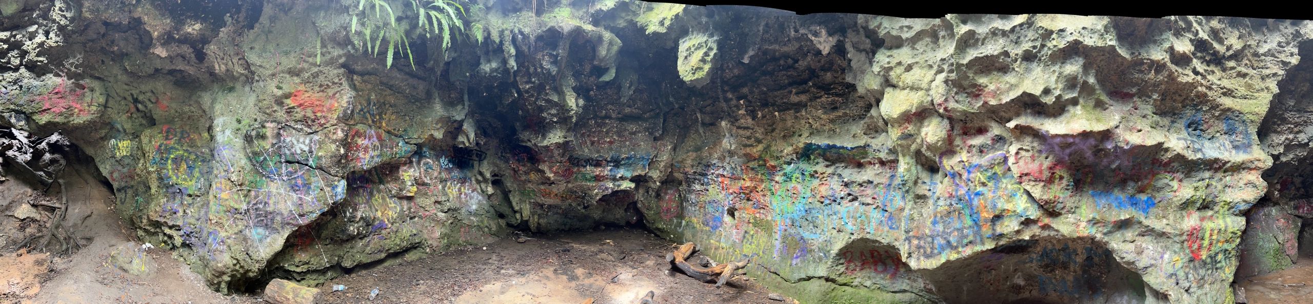 Vandal Cave, Withlacoochee State Forest in Citrus County Florida on Trail 22.  