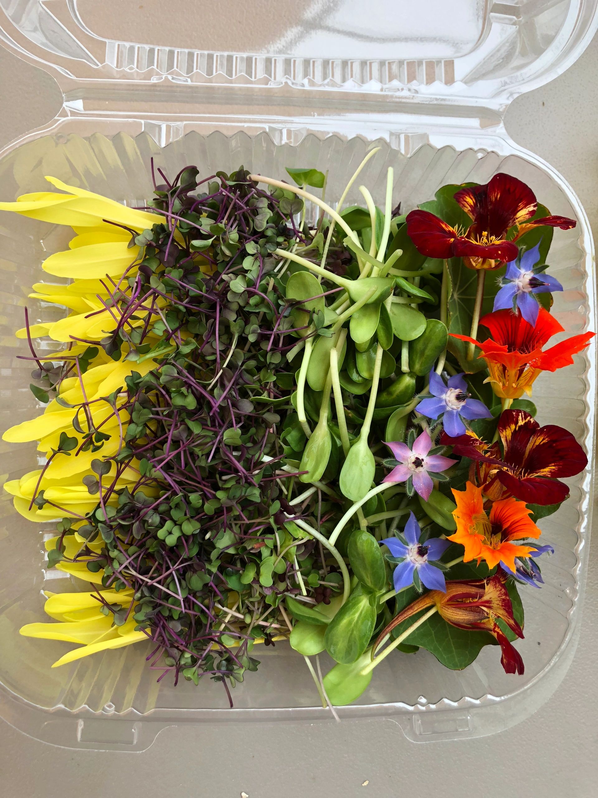 The Rise of Microgreens and Edible Flowers - Edible Sacramento