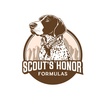 Scout's Honor Formulas