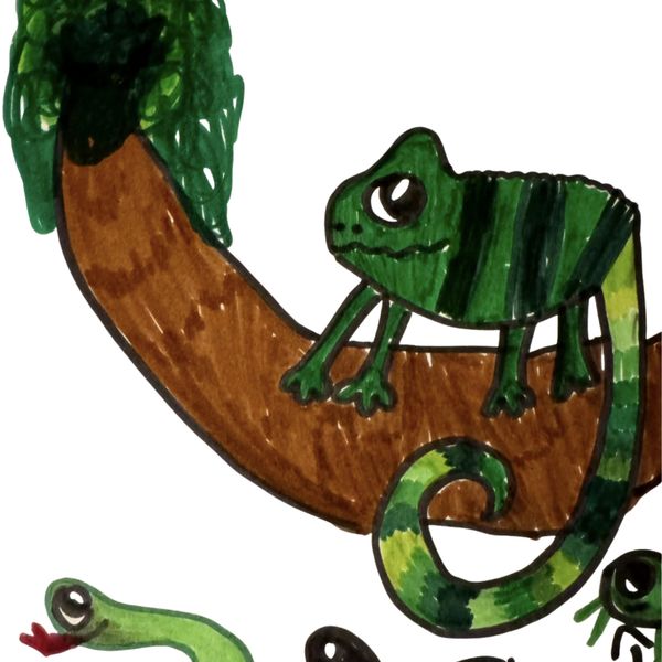 A green chameleon on a brown tree branch with a snake below.
