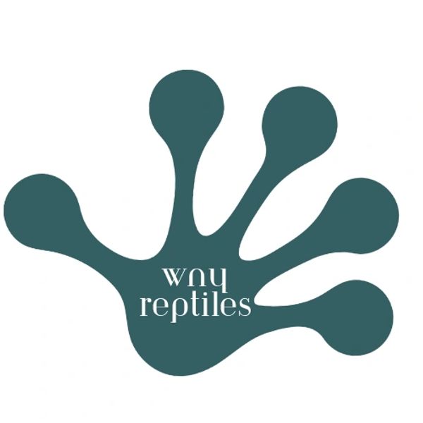 Blue-green stylized gecko foot with 'wny reptiles' text inside.