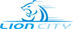 LION CITY ENGINEERING PTE LTD