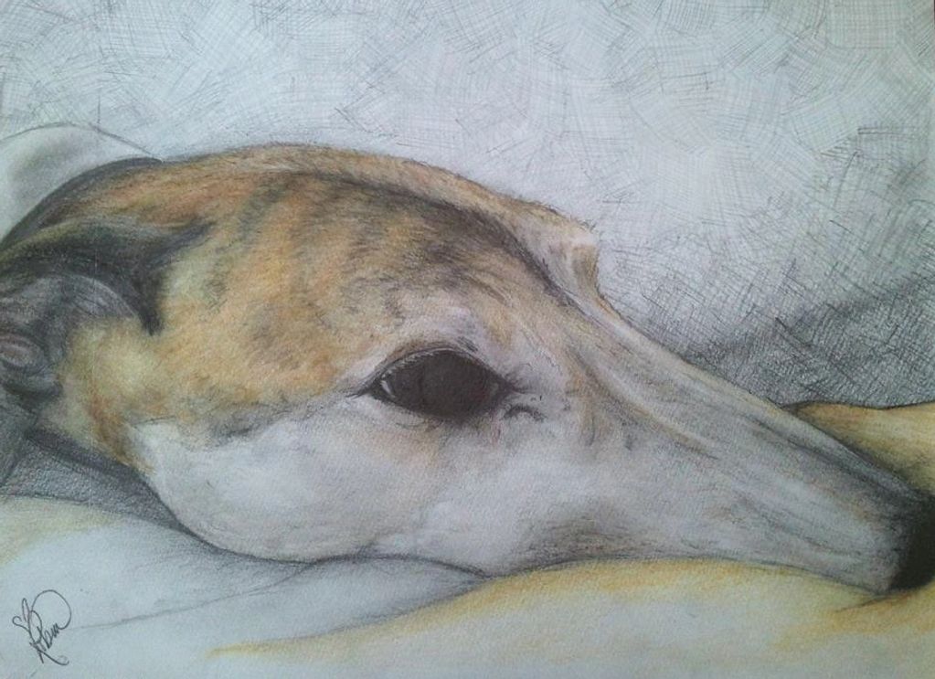Robin Sagulla, pet portraits, art commissions