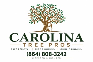 Carolina TreePros