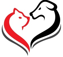 Animal Care Hospital of Oswego