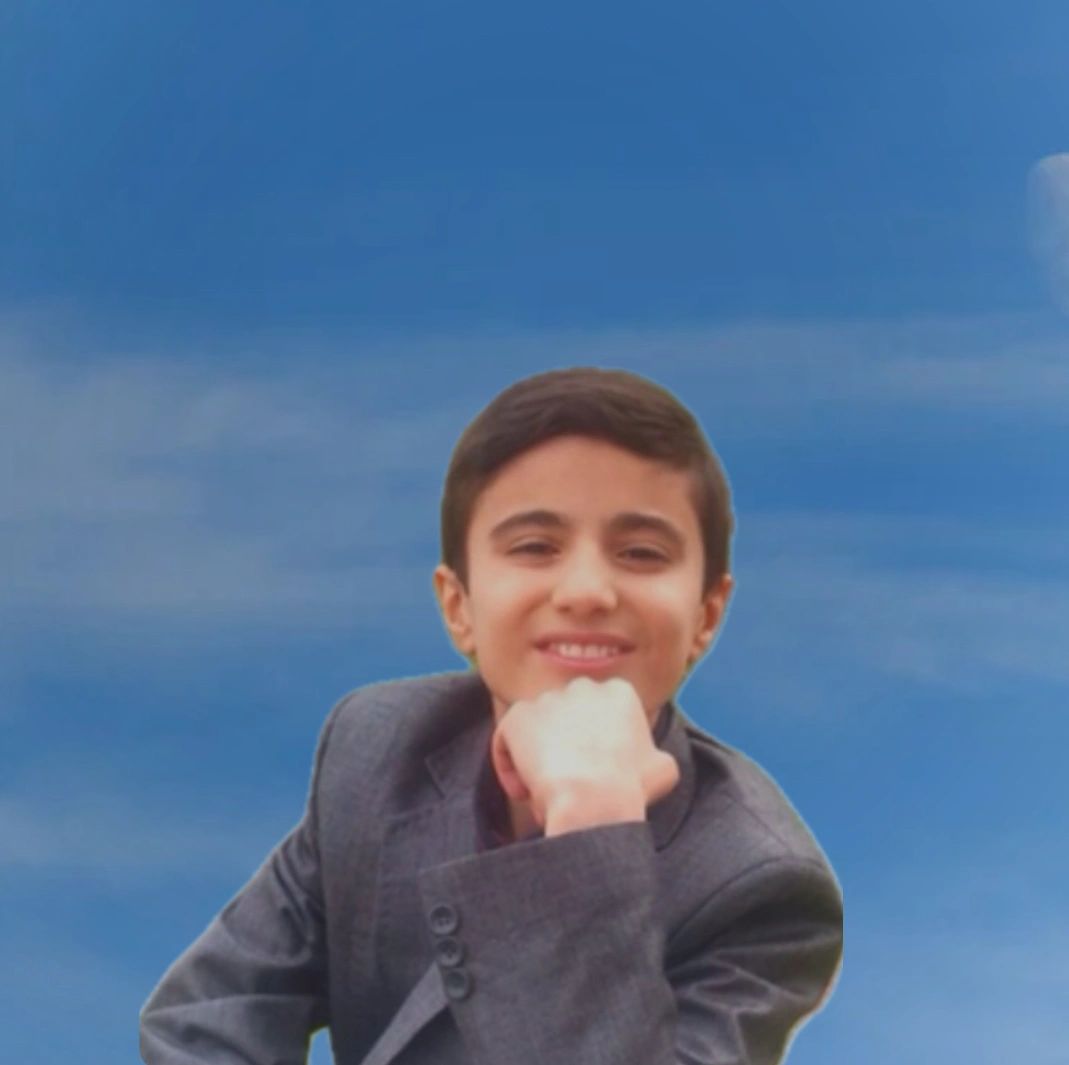 Mohammad Mehdi Mohammadizadeh