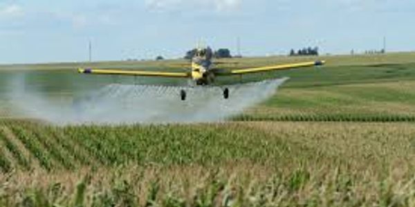 Learn how a natural med free supplement can contract the toxins on our food today