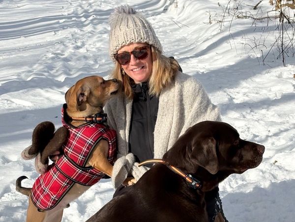 Woman with two dogs in snowy winter setting.