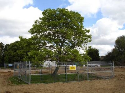 Tree fencing