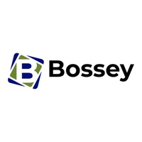 Bossey Advisory Partners