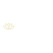 Aspire Elite