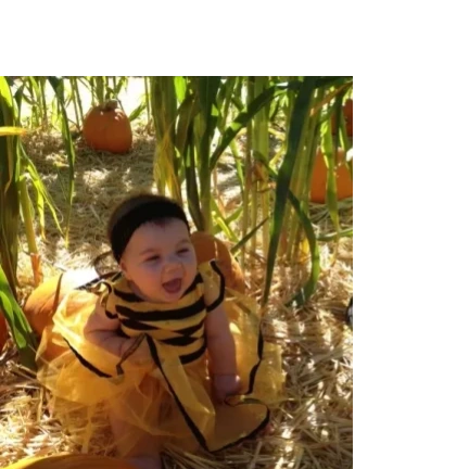 BeeDirt
