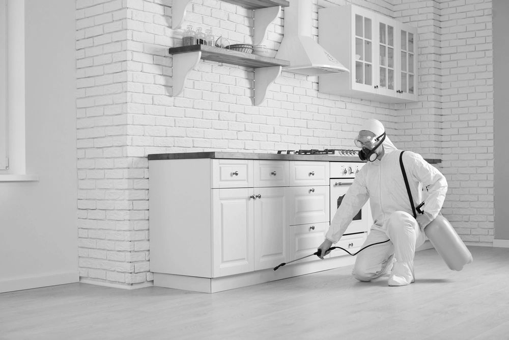 a pest control agent cleaning a house