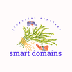 Smart Domains Financial Services LLC