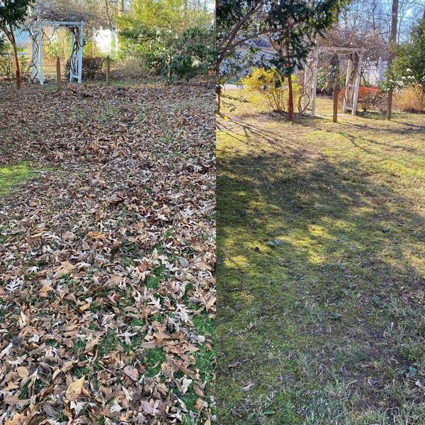 landscaping, yard cleanup, property maintenance, lawncare, home, house, yard, leaf removal 