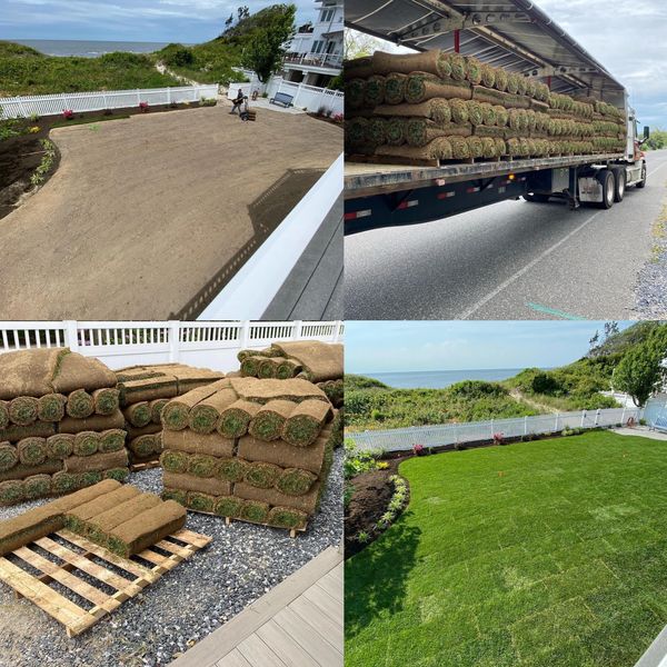 landscaping, sod, grass, property maintenance, lawncare, home, house, yard, leaf removal 