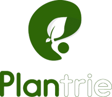 Plantrie