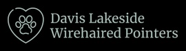 Davis Lakeside Wirehaired Pointers