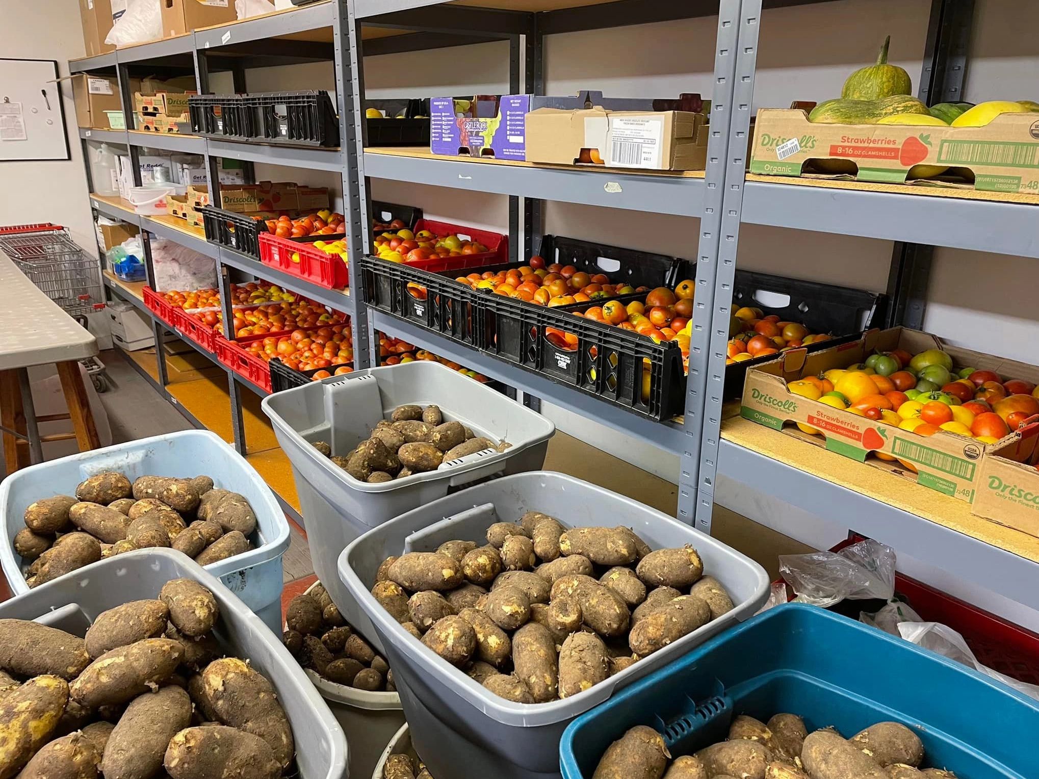 Food pantry shelves filled with fresh produce