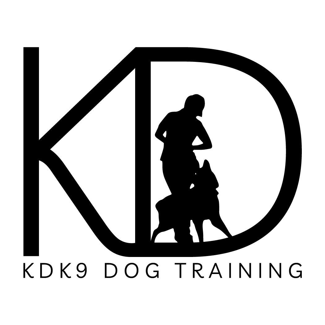Professional dog training services kdk9 dog training