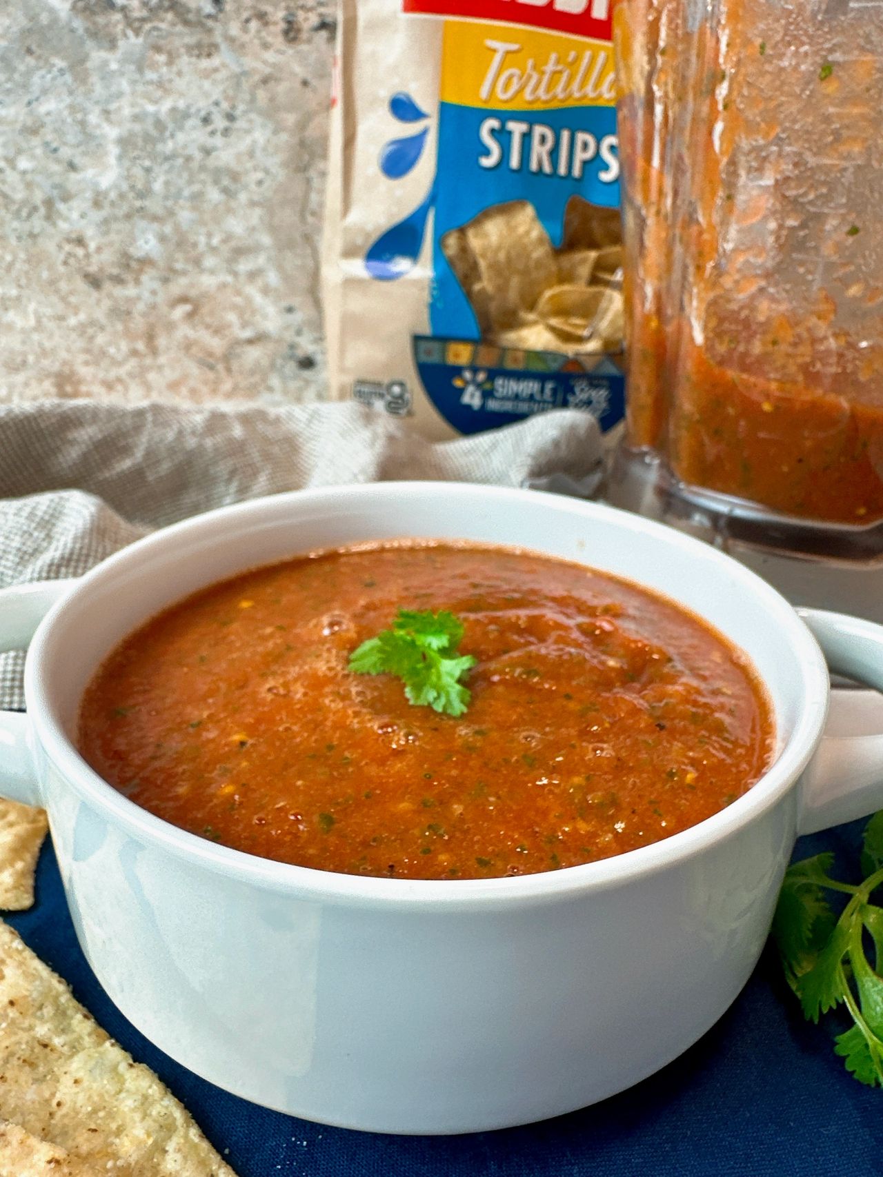 Blender Salsa in Three Minutes! - So easy! - Jersey Girl Cooks