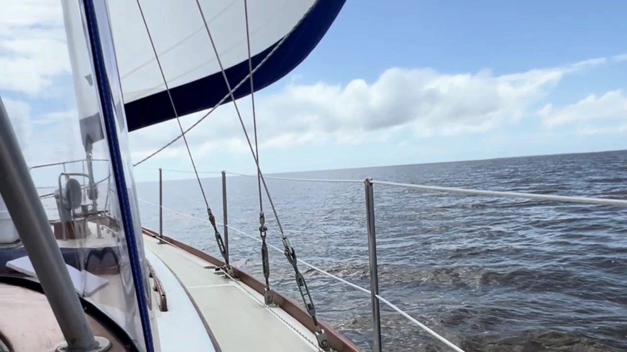 https://img1.wsimg.com/isteam/ip/c457a4af-24fc-45b7-8832-b61a3cca3fbf/thumbnails/thumbnail-7f1dc199-8bc7-4fca-9370-e5a787a68a77.png