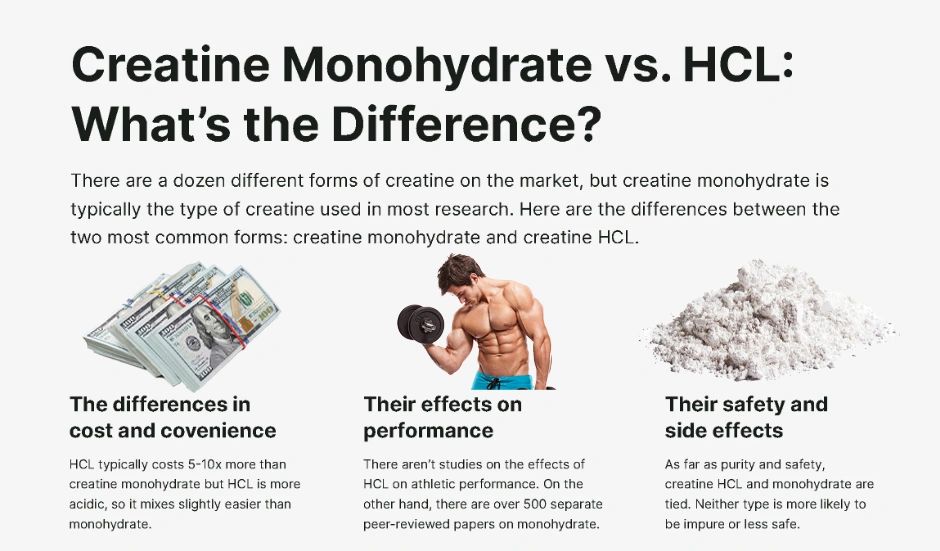 Creatine Monohydrate VS HCL, 60% OFF
