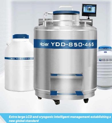 550 Liter Stainless Steel Biobank Freezer Liquid Nitrogen Tanks