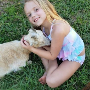 A young girl happily hugging a small goat on the grass.