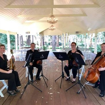 String Quartet available for weddings and other occasions in Toowoomba 