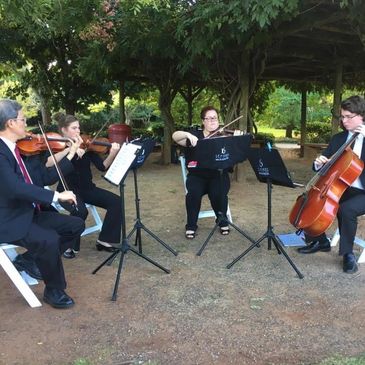 String Quartet available for weddings and other occasions in Toowoomba 