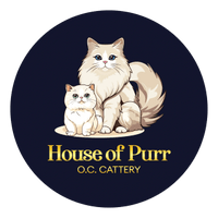 houseofpurr OC